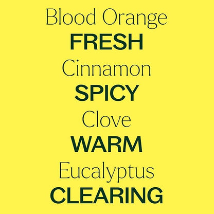 Plant Therapy Germ Fighter Essential Oil Blend Pure, Natural Aromatherapy, for Diffusion & Topical Use, DIY Multi-Surface Cleaner, Hand Cleanser, Home or Office Use, Therapeutic Grade 10 mL (1/3 oz)